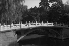 LOMO камера 天津远大120黑白胶卷盘片 61mm 29米长 200度或者100度