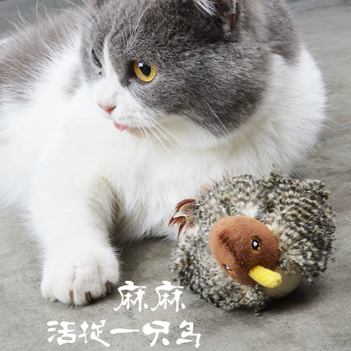 Электрическая игрушка, Гонконг, котенок, издает звуки, кот