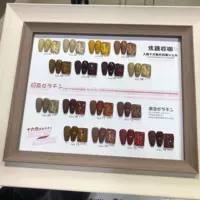 Кофейный цветовой круг, 16 цветов