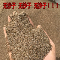Семена диких песков, пески артемизия порошковые пески