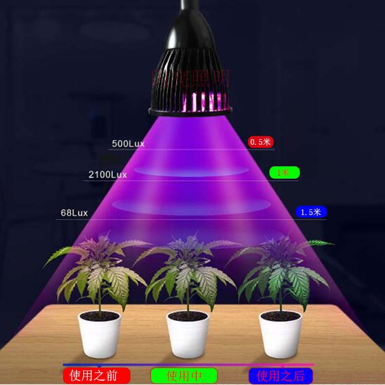 световой поток для марихуаны
