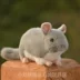 Xuất khẩu mô phỏng chuột chuột rùa mèo cưng thú cưng đồ chơi sang trọng động vật búp bê - Đồ chơi mềm Đồ chơi mềm
