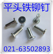 Заклепки с плоской головкой Железа заклепки