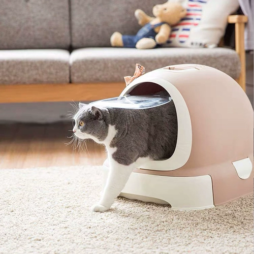 Юаньчжу мяу -кошачь