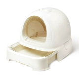 Юаньчжу мяу -кошачь