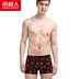 Nam Cực đồ lót nam boxer cotton modal thanh niên giữa eo bốn góc quần thoáng khí quần short thủy triều quần boxer nam Giữa eo