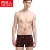 Nam Cực đồ lót nam boxer cotton modal thanh niên giữa eo bốn góc quần thoáng khí quần short thủy triều