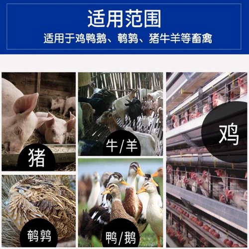 Натуральный высококачественный грубый порошок раковины, курица, утиные голубые голубы