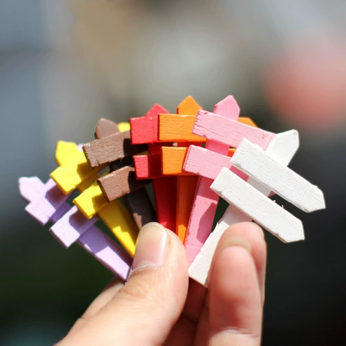 Сочный растение Мос Микро -Стандарт DIY Декоративный ландшафтный ландшафт Небольшие украшения