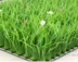 Bán hàng trực tiếp trong nhà cỏ giả với hoa nhựa cỏ mô phỏng cây xanh tường cao cỏ mã hóa ban công trang trí sân cỏ nhân tạo - Hoa nhân tạo / Cây / Trái cây