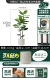 Vajrayana 125см дает PP Pot Oatmeal White