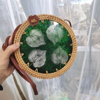 Четырехлистная травяная звезда пустые зеленые виноградные лозы