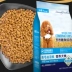 Thức ăn cho chó nhiều thức ăn 2.5kg chó con thức ăn cho chó 10 Teddy VIP Golden Retriever samoyed thức ăn chính 5 kg loại phổ quát