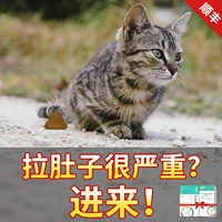 Кошка вытягивает разбавленную диарею и анти -инфляционную кровь кошки в воспалении домашних животных.