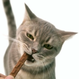 Полный вкус ВСЕ -ВАУТ ГЕРМАЗИИ WAKIFOV CATS, Мясовая стрипная сушена