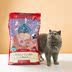 Dần dần Blue uff BlueBuffalo Blue Jue Life Protection Trong nhà Cá hồi Gạo nâu vào thức ăn cho mèo 7 lbs 15 lbs - Cat Staples catsrang 1kg Cat Staples