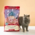 Dần dần Blue uff BlueBuffalo Blue Jue Life Protection Trong nhà Cá hồi Gạo nâu vào thức ăn cho mèo 7 lbs 15 lbs - Cat Staples minino yum 1.5 kg Cat Staples