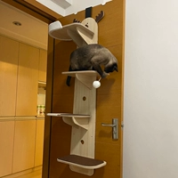 Герцог кошачья стойка для кошачья кошачья гнездо кошачье дерево интегрированное маленькое деревянное дверное дверь кошачья платформа