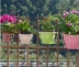 kệ trồng hoa ban công Lan can sân thượng chứa kệ sắt rèn cây xanh mọng nước Chậu hoa treo tường giá treo chậu hoa ban công giá treo kệ gỗ trồng hoa ban công 