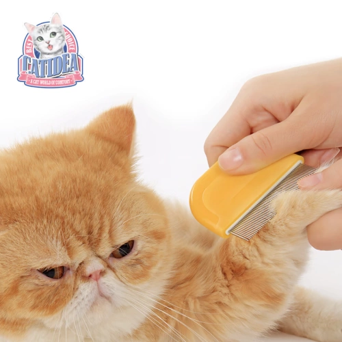 Райс Doudou Doll Cat Music CG9 Бойт кошка Красивая кошка Мао Моти Комп красота цветочный кот кошка