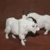 safari mô phỏng trang trại động vật mô hình đồ chơi đồ trang trí dê trắng hoang dã lớn - Đồ chơi gia đình