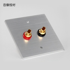 Hi-Fi Аксессуары 音响 接柱铜入墙接线柱2孔 音箱墙插座 纯铜功放喇叭接线