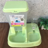 Кошка снабжает кошачьи чаши двойной чаши с автоматической питьевой водой для собак. Автоматическая кормушка питатель Поставляется с кошачьим горшками для кошачьего кошачья чаша