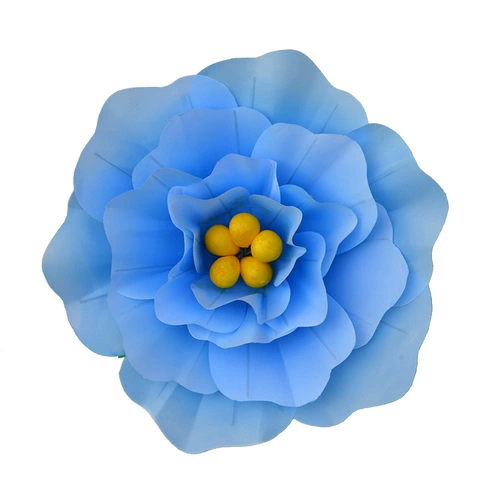 Красочные реквизиты танца из пиона, танцы в детском саду, встреча с цветочным спортом рук зарегистрировано