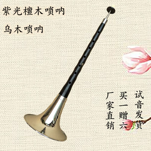 Высококлассные музыкальные инструменты для детей и взрослых для начинающих, маленький медный громкоговоритель, полный комплект