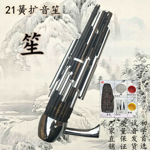 Hongsheng Sheng Музыкальный инструмент Daquan 21 весна популярность Professional Professional