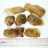 Baozhen Natural Madagaska Cobabi смола большой блок содержит червь, кобаби 10-30 грамм на грамм цены