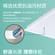 Модули освещения 飞利浦led集成吊顶灯led平板灯面板灯铝扣板灯嵌入式厨卫照明模块 Philips