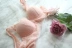 Hàn Quốc Ginger Pure Lace Không có vành thép thoải mái Full cup bra Không có dây đeo vai bên hông áo ngực đẹp - Áo ngực không dây quần lót cotton Áo ngực không dây