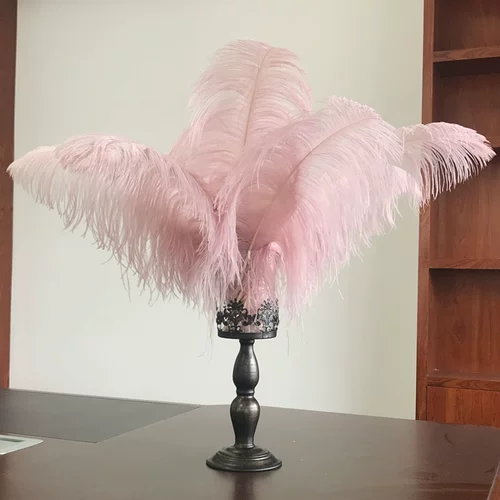 Светло -розовая свадьба страуса с острами, роуд KTV Photo Reps украшения интернет -знаменитость In ins Big Feather