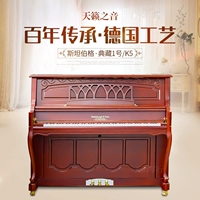 Bộ sưu tập đàn piano Steinbergh Sterinborgh I KU250 - dương cầm 	giá 1 cây đàn piano điện	