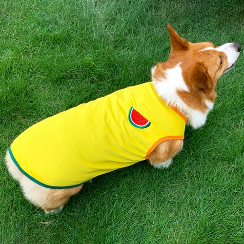 Корги собачья одежда Летний жилет в летнем тонкий маленький и средний собаки против боевых щенков Шиба Ину би -бир