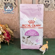 Nhập khẩu tại chỗ Hoàng gia Pháp 1-4 tháng Mèo con vắt sữa Công thức sữa BC34 Thức ăn cho mèo Cat 2kg - Cat Staples