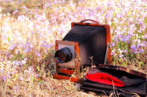 Большой формат камера гуа