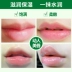 Lip Balm Giữ ẩm Giữ ẩm Khử ẩm Môi Nam và Nữ Chăm sóc môi Không màu Sinh viên Chăm sóc môi Chống nứt mùa đông