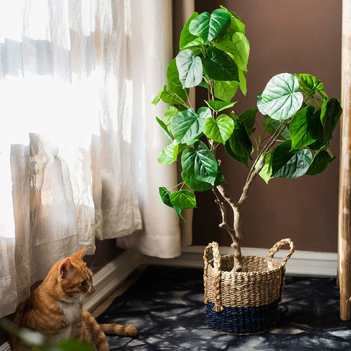 景 Моделирование Bonsai Зеленое растение Большое, среднее, маленькое и маленькое внутреннее декоративное орнамент клуб гостиной приземляется поддельные зеленые растения