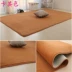 Coral dày nhung thảm phòng khách bàn cà phê thảm phòng ngủ thảm thảm bên cạnh thảm tatami giường có thể được tùy chỉnh - Thảm Thảm