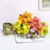 Trang trí hoa giả mô phỏng hoa nhỏ nhỏ cắm hoa tươi với hoa đồng tiền châu Phi retro hoa cúc nhỏ - Hoa nhân tạo / Cây / Trái cây cây xương rồng giả Hoa nhân tạo / Cây / Trái cây