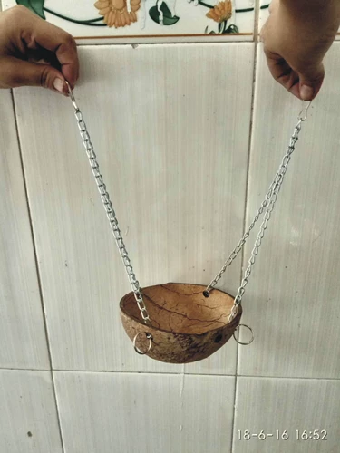 Кокосовая оболочка питомец Осенний хомяк Золотой шелковый медведь медово меноде