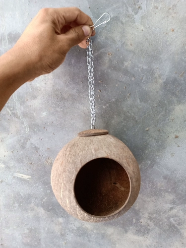 Кокосовая оболочка питомец Осенний хомяк Золотой шелковый медведь медово меноде