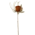 Cây nhập khẩu tự nhiên hoa khô pháo hoa cúc trang trí bàn nghệ thuật mới Bắc Âu ánh sáng sang trọng trang trí Nam Phi pin đệm hoa - Trang trí nội thất