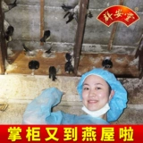 [Кунан Холл] 6A Официальное птичье гнездо Малайзия Источники импортированные беременные женщины Bai Gan's Bird's Bird's - 100 грамм тушеных коробок