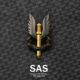 Золотой двойной цвет SAS