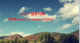 Mora-Res Sound Source Source Service Service Mora / e-Onkyo / Ototoy /
