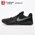 [chạy buổi sáng] Giày bóng rổ tinh thần Nike Kobe Mentality3 Kobe Mamba 884445-016 giày thể thao bitis Giày bóng rổ