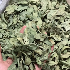 Листья Роб Ма Возьмите 2 кот бесплатных доставки Rob Ma Tea Leaves Rob Ma